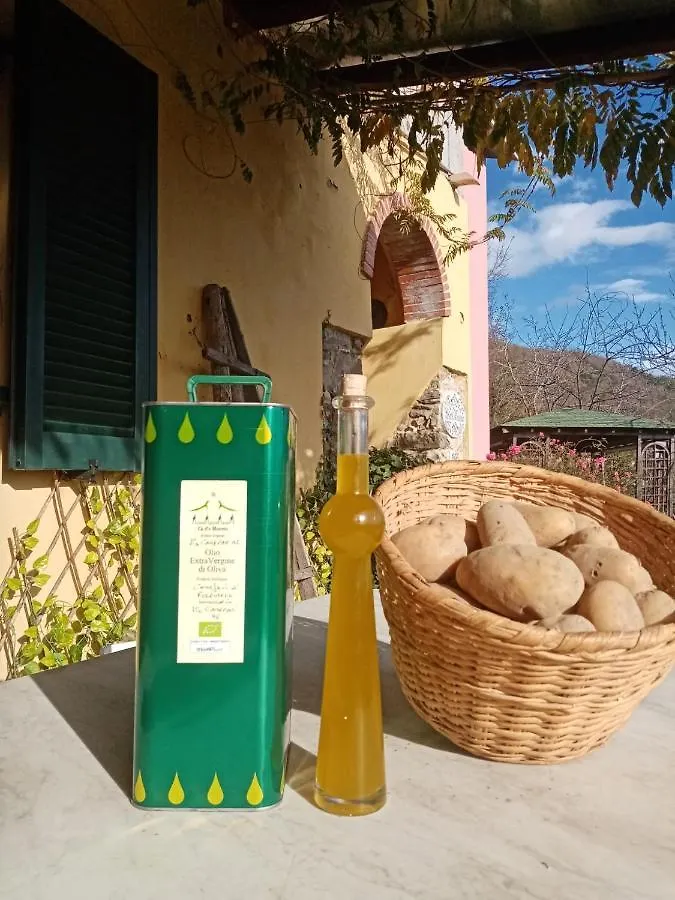 Appartamento Il Salice Carignano  Apartment Carignano (Tuscany)