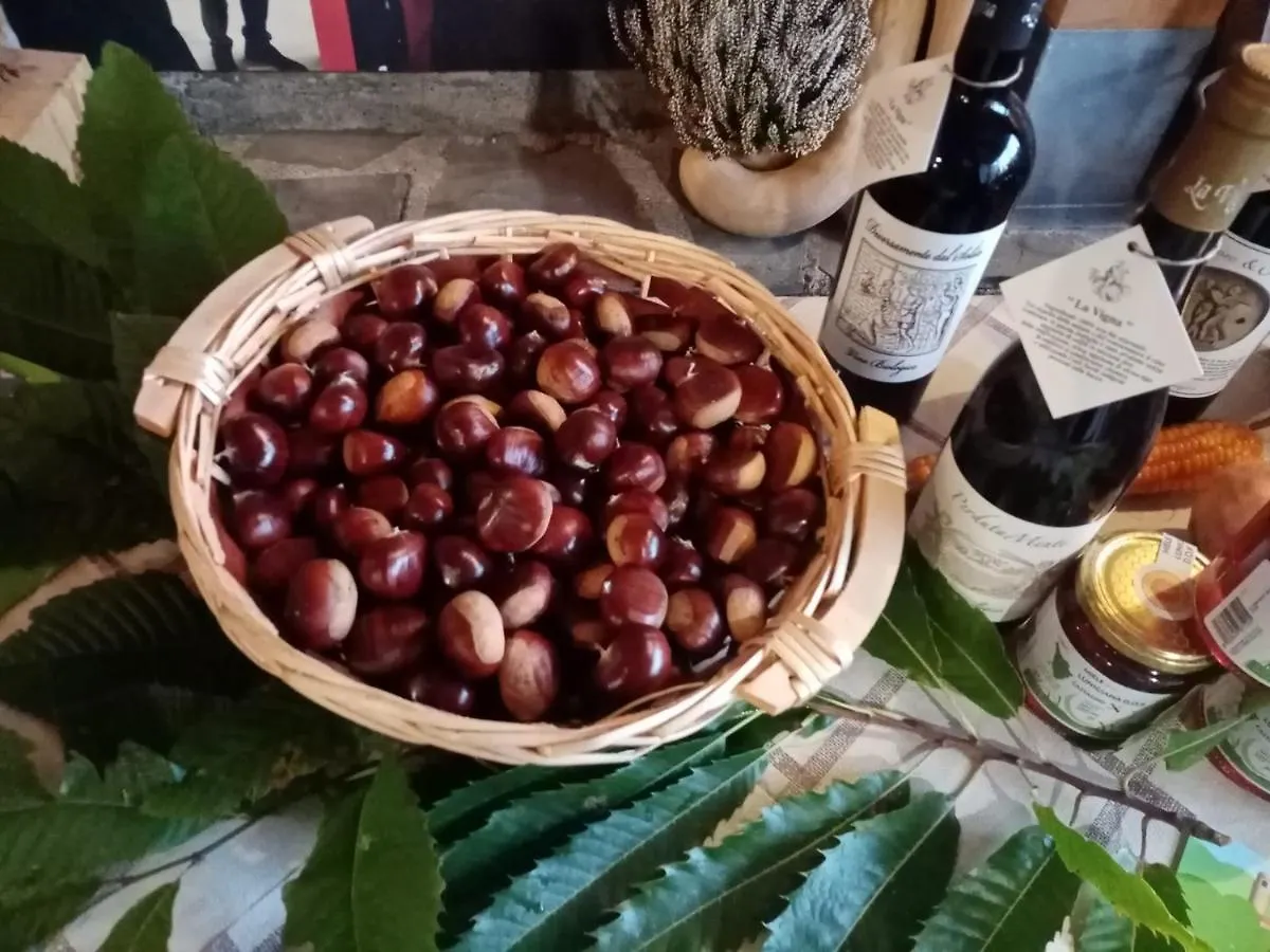 Appartamento Il Salice Carignano